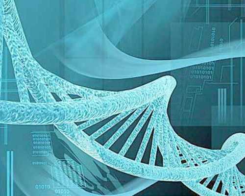 卵巢早衰患者做试管婴儿成功率大吗？