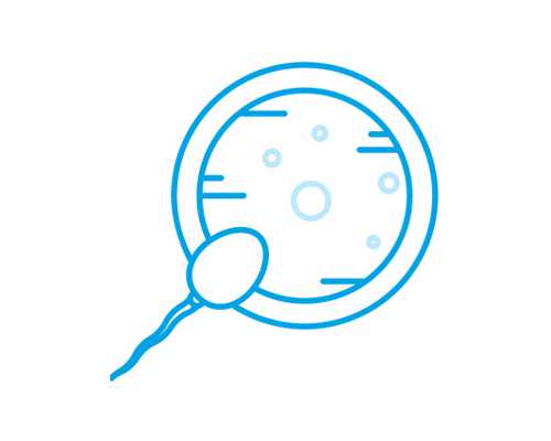 泰国试管婴儿流程中的七大环节(下)