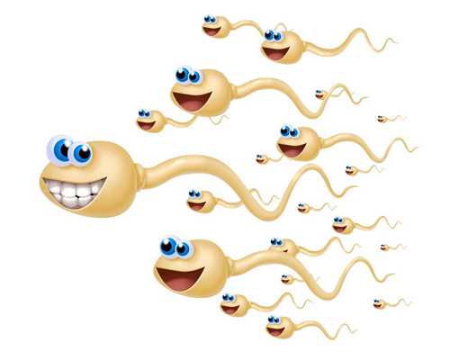 2026年初去泰国做试管婴儿受欢迎的医院有哪些2026年泰国试管婴儿知名医院