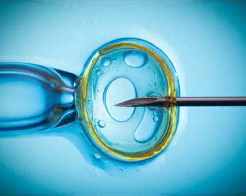 泰国试管婴儿成功的三大因素