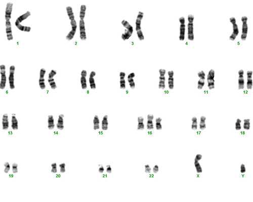苏州代生人群-苏州三甲捐卵-最新苏州代怀孕套餐