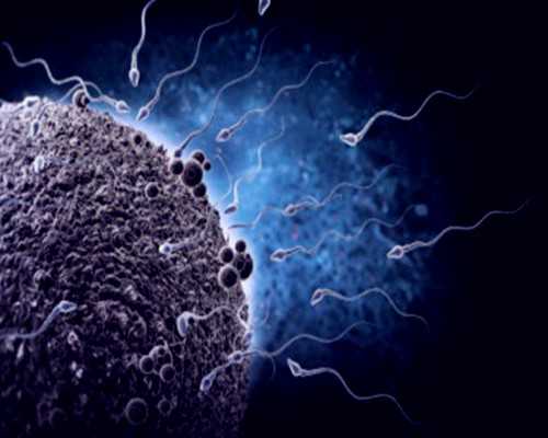 宝宝3岁前这几样东西不能断