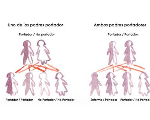 美国试管婴儿圆您家庭梦