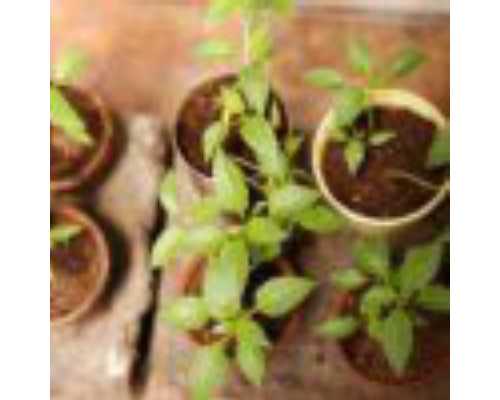 梧州工人医院试管婴儿价格真不贵，想报销助孕费用进来看看