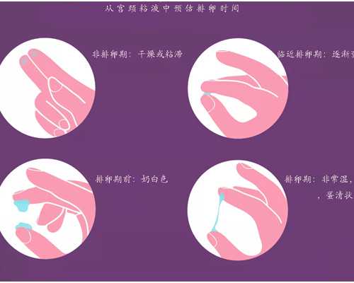 2026西安试管婴儿医院排名，试管婴儿成功率和费用一览