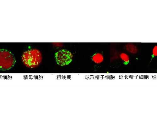 湛江赤坎区的宝妈们，生孩子推荐去哪个医院比较好？