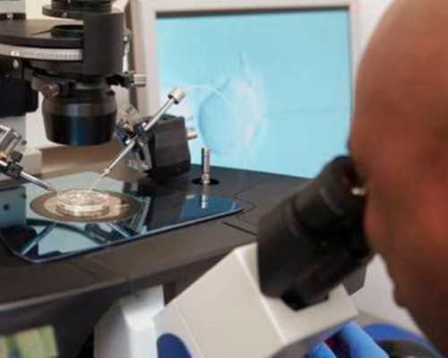 苏州市立医院试管养囊成功率怎么样？