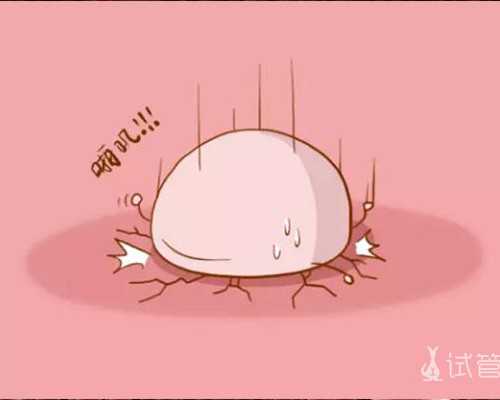 子宫畸形导致不孕能够做试管婴儿助孕吗子宫畸形