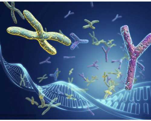 40岁还可以做试管婴儿吗