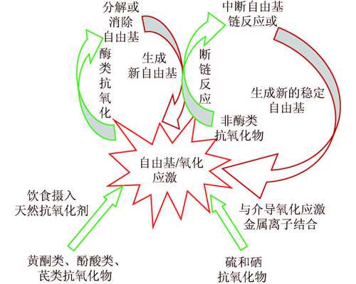 40岁高龄遭遇胎停~试管包生儿子