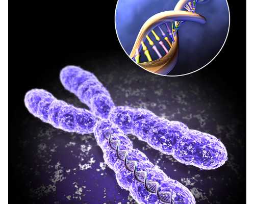 2026韶关市妇幼保健院试管婴儿成功率一览，附2026助孕成功率预估表