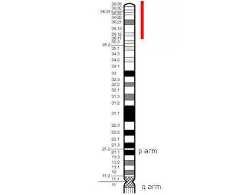 宫腔镜检查是怎么做的?~代生代怀