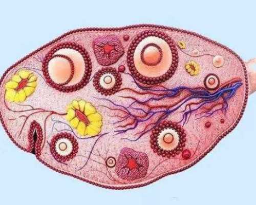 一、二、三代试管婴儿怎样选择？ ...