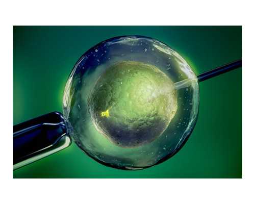 LH高去美国做试管婴儿对胚胎着床有影响吗？