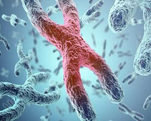 苏州代母电话-苏州捐卵微信-想找苏州代孕公司