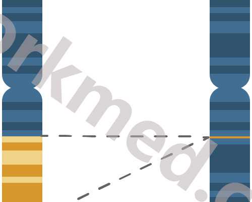 2026衢州试管婴儿哪个医院助孕技术比较好