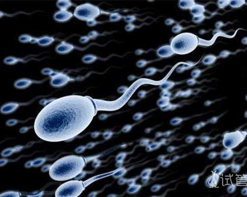 适合宝宝吃的早餐小饼,练习宝宝的精细动作!