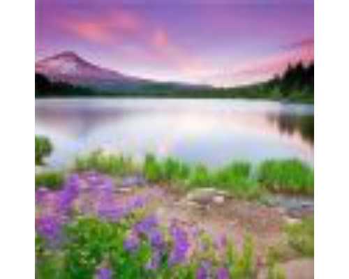 第二代试管婴儿费用是多少   第二代试管婴儿针对哪些人群