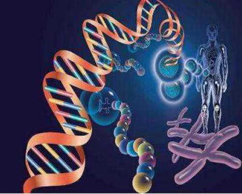 准备做试管婴儿的准爸妈，你需要提前了解这些内容