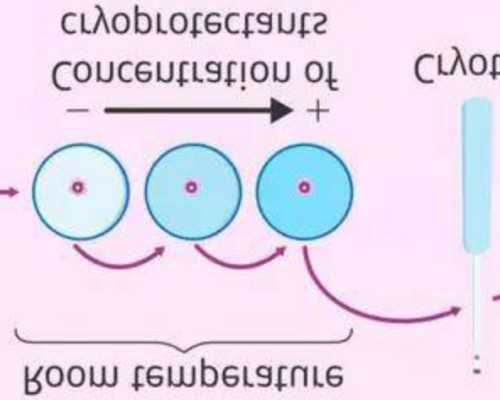 调节饮食真的能控制生男生女吗