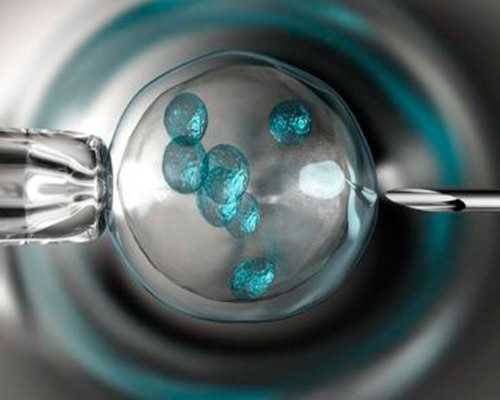 第一代试管婴儿