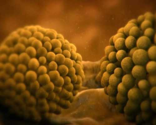 宫颈糜烂能怀孕吗？宫颈糜烂怀孕了孩子能要吗？