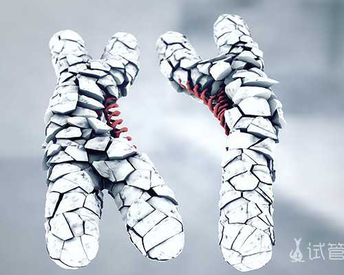 第三代试管婴儿整个周期需要多长时间