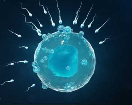 解析：孕妇晚餐有禁忌