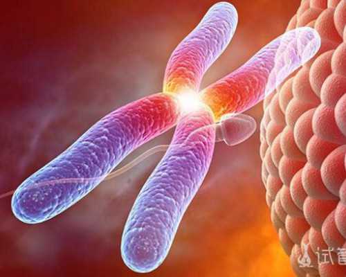 试管婴儿成功率高嘛 哪一代成功率最高