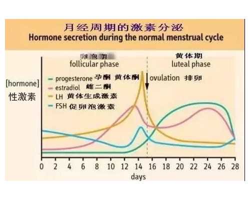 天津试管婴儿费用大约多少钱?明细呢?