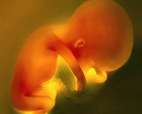 大龄女性在郑大一附院生殖科申请供卵试管要花多少费用？