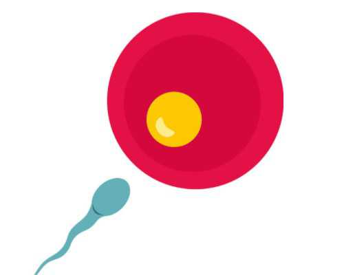 排卵日是什么时候?排卵监测你做对了吗