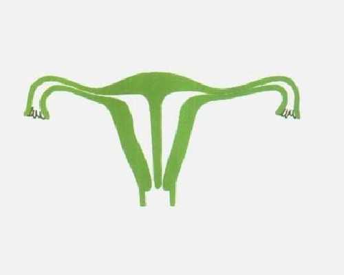 龙岩试管婴儿费用大约多少