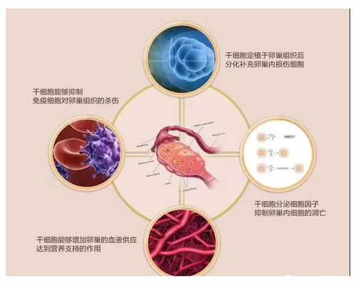 供卵苏州代生-苏州高薪捐卵-苏州助孕助孕价格