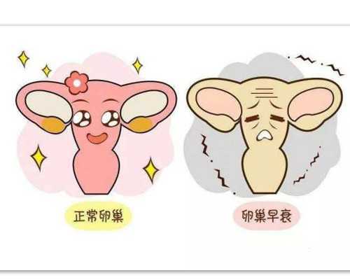 苏州试管婴儿价格多少 费用一般包括哪些