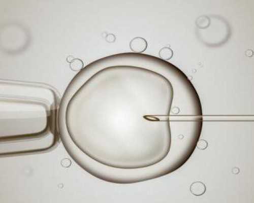 人工授精的成功率主要取决于什么？