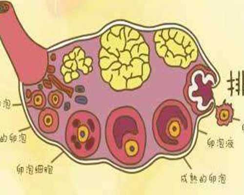 美国试管婴儿：年轻女性与大龄赴美IVF的区别