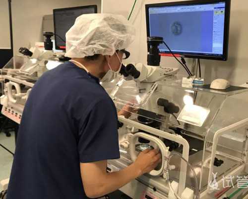 和国内相比试管婴儿的费用贵不？值吗?