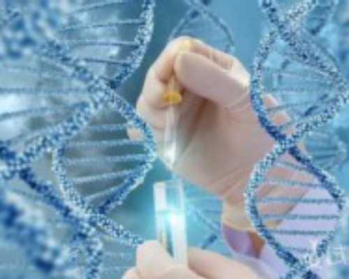 婴幼儿圣元奶粉在国内排行第几名?有没有进前十?