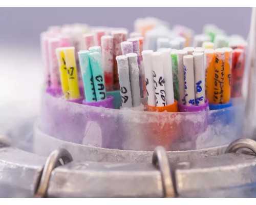 2026试管正式公开：福州试管婴儿费用大约多少？