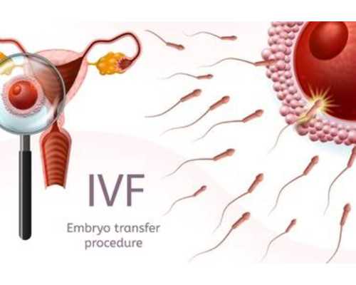 影响泰国试管婴儿成功因素有哪些?