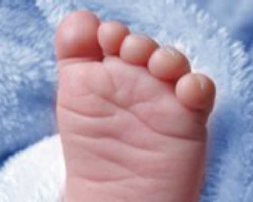 试管婴儿取卵数量多很好吗?