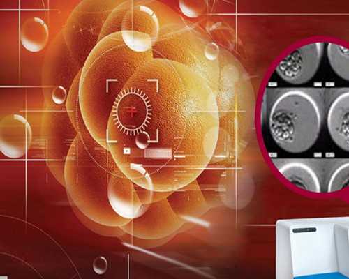 三代“试管婴儿”解密