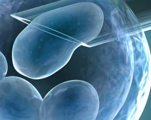 2026年最新泰国试管婴儿移植方案，选择对了成功几率就会高很多！