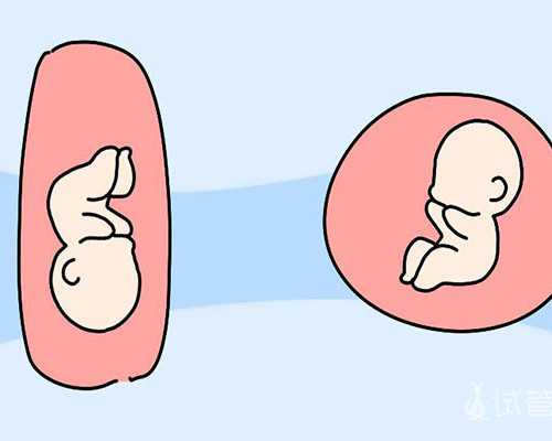 上海九院和集爱做试管哪个好？哪个医院做试管成功率高？