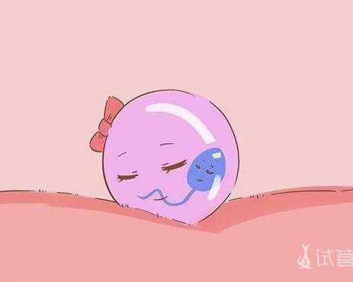 做试管婴儿，应该选择第3天胚胎还是囊胚进行移植？