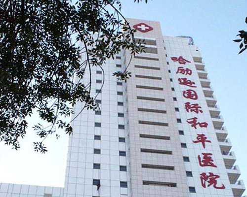 追击！探究下人工授精的真实花费！