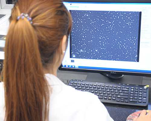 试管婴儿移植两个胚胎比一个胚胎成功率高吗