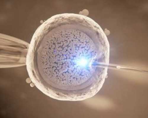 做试管不需要结婚证了？做试管婴儿需要结婚证吗？