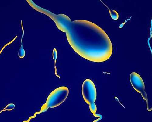 2026在吉林省试管婴儿费用大约多少？一次价格多少？